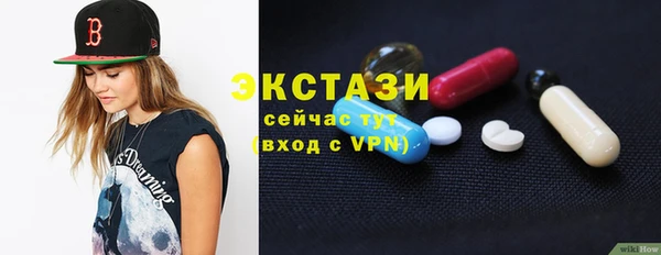 СК Алексин