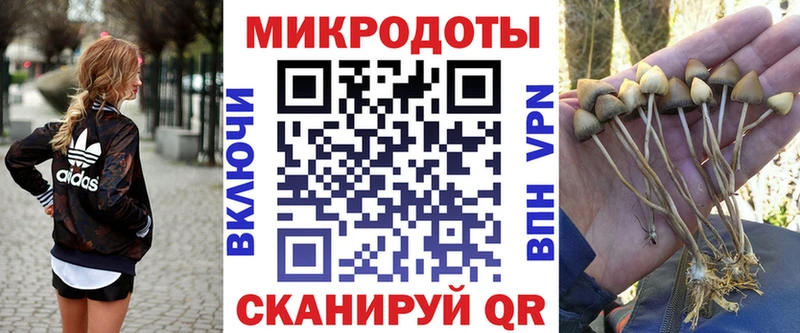 Галлюциногенные грибы прущие грибы  купить закладку  Тюкалинск 